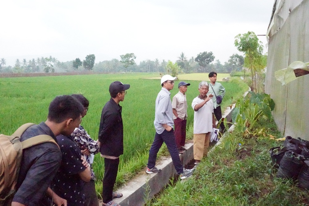 Image Caption