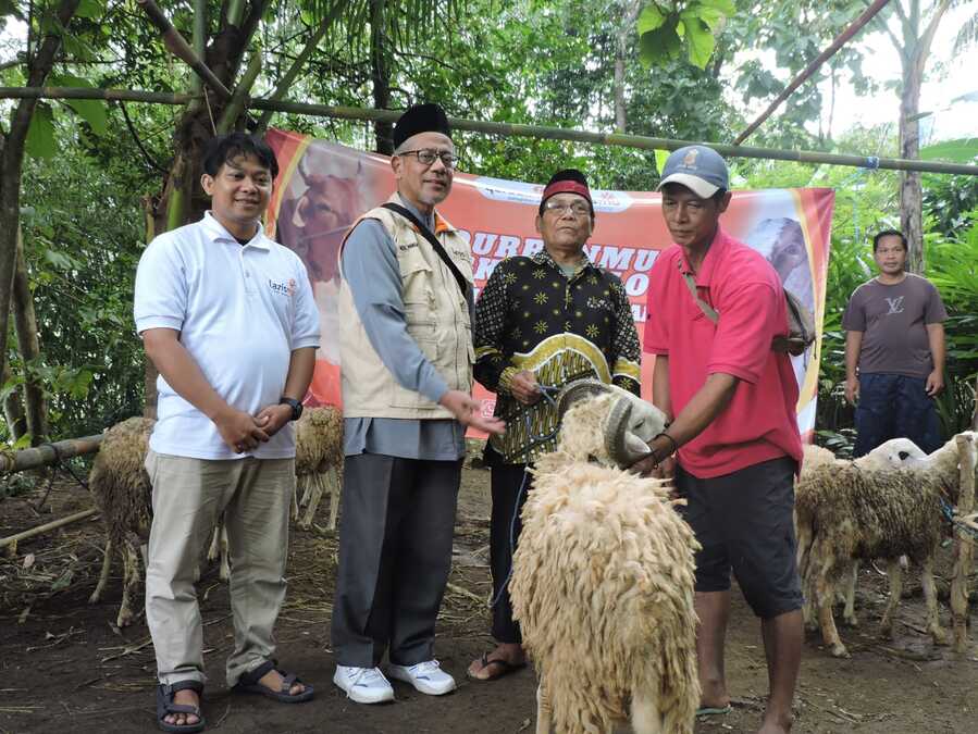 Image Caption