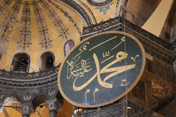 Image Caption