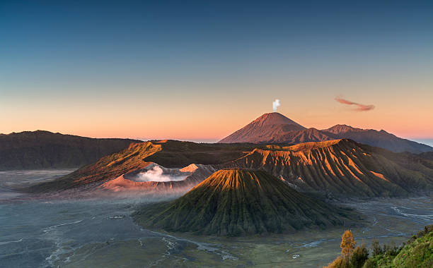 Foto Istimewa/Pixabay