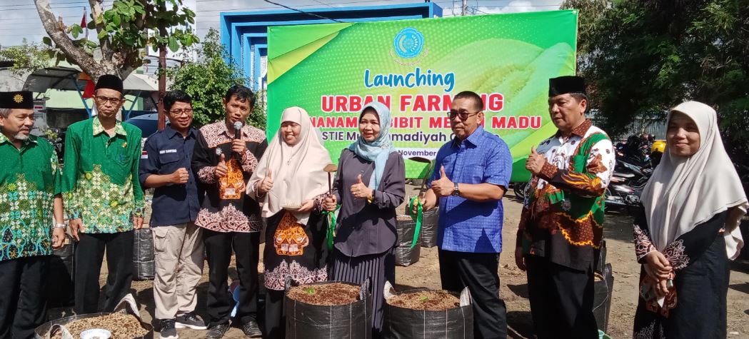 PERDANA - Tanam perdana Melon Madu Orange program Urban Farming STIEM Cilacap