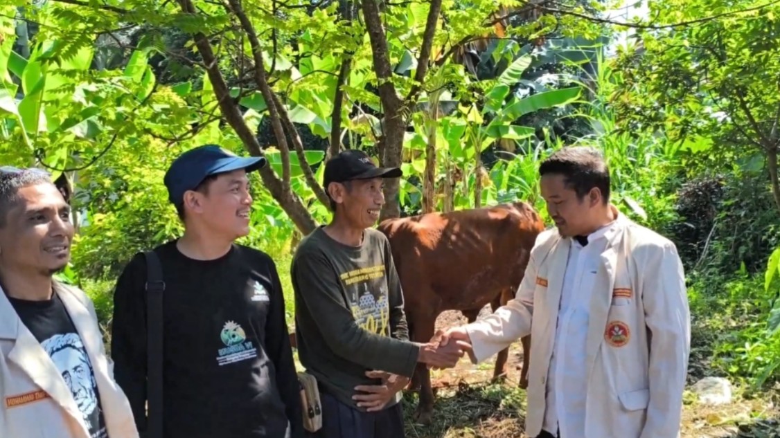 Image Caption