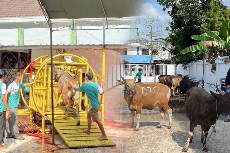 Image Caption
