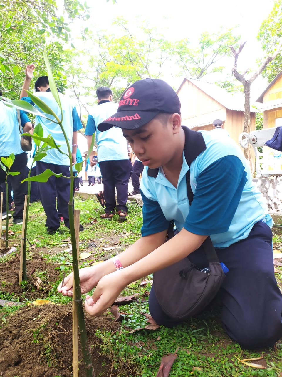 Siswa SMP Muhammadiyah Program Khusus Kottabarat Surakarta melakukan penenaman pohon mangrove.