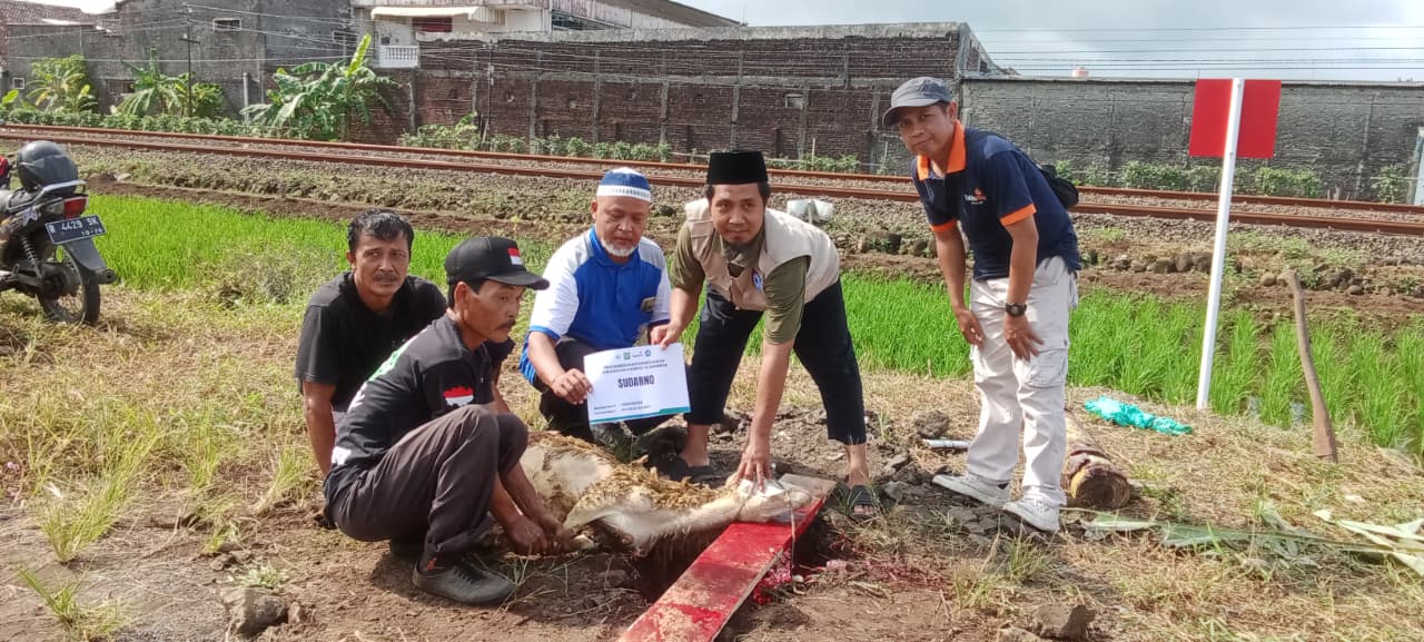 Image Caption