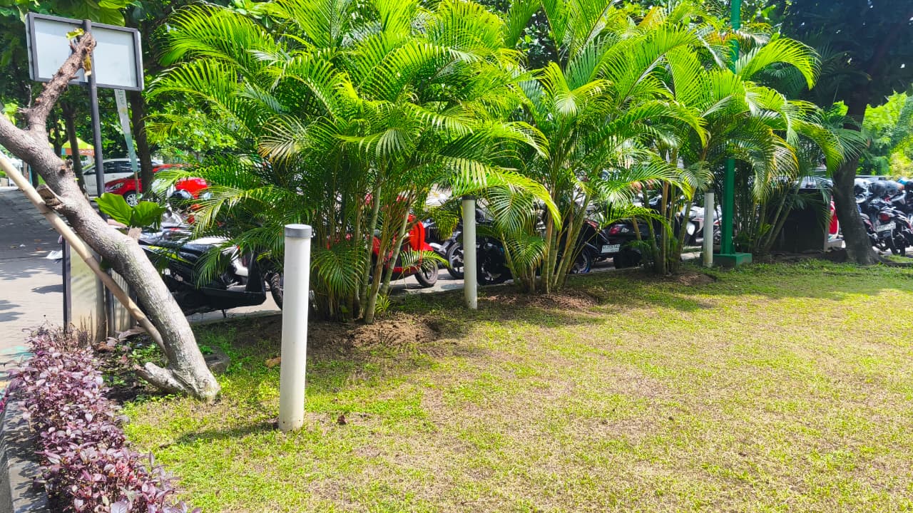 Lodong Sisa Dapur (LOSIDA) sebuah paralon setinggi pinggang orang dewasa yang di dipasang di setiap sudut taman, berdekatan dengan tanaman. Foto Dok Diko/SM